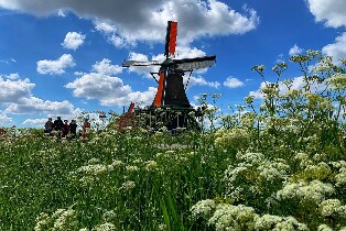 阿姆斯特丹鄉村半日電動自行車之旅