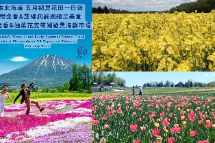 北海道初夏花田：鬱金香+芝櫻/油菜花+洞爺/支笏湖絕景美食一日遊