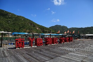 香港鴨巴甸半日文化遊船