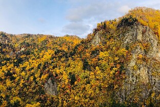 北海道秋櫻波波草＆八劍山BBQ＆定山溪/豐平峽紅葉一日遊