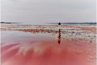 2天粉紅湖和卡爾巴裏導覽遊（含可選活動）