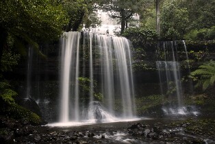 菲爾德山、野生動物、威靈頓山一日遊