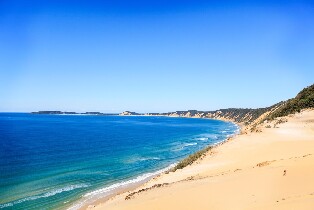 努薩：史詩海豚海洋獨木舟之旅與海灘四驅車探險