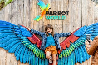 克雷西拉沙佩勒鸚鵡世界門票