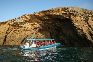 紐卡索觀光冒險遊船之旅