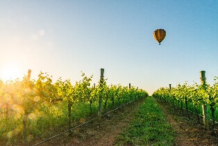 馬奇日出熱氣球飛行體驗