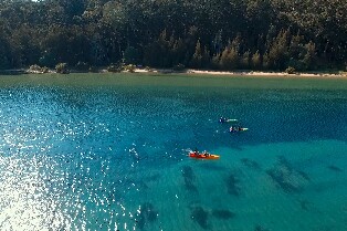 卡倫杜拉保護區玻璃底皮劃艇之旅