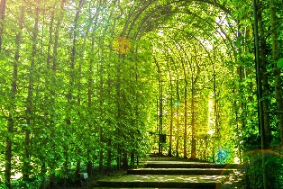 愛丁堡出發| 聖島、阿尼克城堡和諾森伯蘭之旅