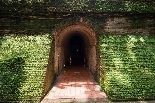 清邁素帖山健行半日遊及全日遊