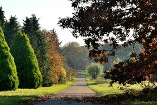 法國羅肯庫爾凡爾賽 - 謝夫勒盧樹木園門票
