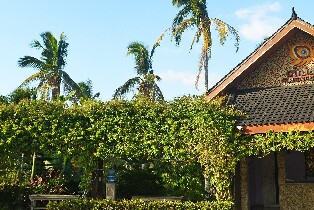 Cintai Corito's Garden一日遊通行證