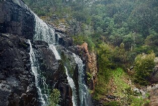 墨爾本出發格蘭坪國家公園私人一日遊