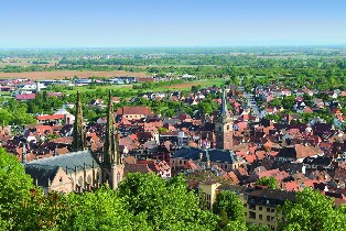 從斯特拉斯堡出發的阿爾薩斯葡萄園之旅