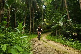 薄荷島鄉間自行車之旅
