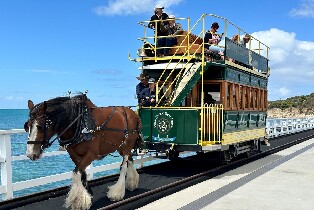 維克多港海岸一日遊