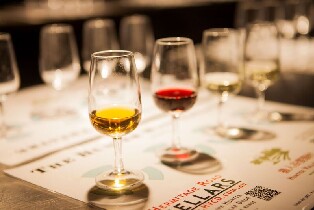 獵人谷葡萄酒劇場體驗