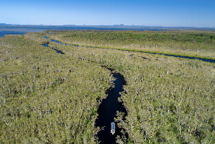 努沙大沼澤探險之旅