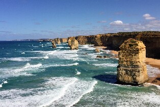 大洋路無尾熊觀賞反向之旅