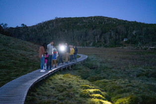 搖籃山夜間觀星之旅