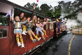 墨爾本普芬比利蒸汽火車·野生動物園 & 企鵝夜歸奇觀一日遊(中文導覽）
