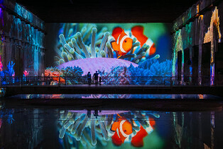 波爾多萊斯-盧米埃斯灣（Les Bassins des Lumieres）快速通道門票