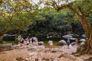 丹翠雨林一日遊（道格拉斯港出發）
