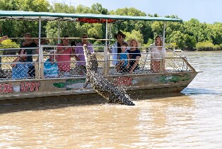 跳躍鱷魚巡遊半日遊