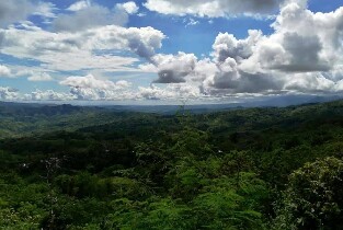 達沃高地探索之旅