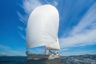 荷巴特德文特河包船巡航