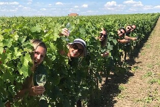 梅多克下午葡萄酒之旅  - 含開胃菜（波爾多出發）