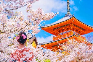 【大阪/京都出發】金閣寺＆清水寺＆伏見稻荷大社一日遊