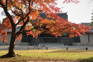 京都御所＆二條城小團步行導覽之旅