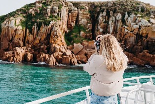 菲利普島 (Phillip Island) 角嘴海岬遊船之旅圖片