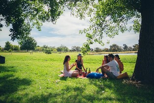 莫寧頓半島肖勒姆路半日遊