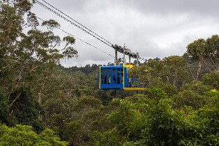 雪梨藍山之旅