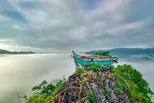 黎剎弗雷斯諾農林一日私人自然之旅