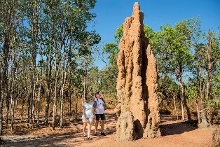 李治菲特國家公園遊覽之旅