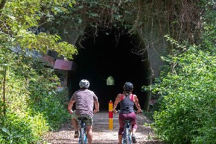 拜倫灣螢火蟲電動自行車導覽之旅