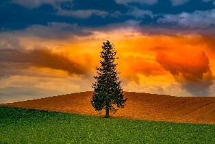 登別・洞爺湖・旭川私人包車一日遊