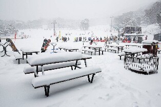 塞雪或佩裏舍一日遊