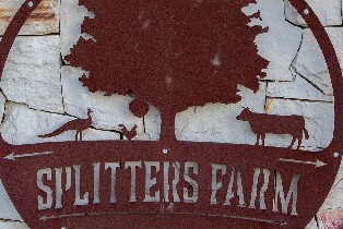 班達伯格斯普利特農場半日導覽遊