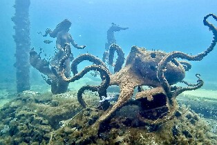 巴瑟爾頓棧橋水下雕塑浮潛之旅