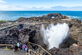 基亞馬噴水洞、海上懸崖橋、海灘、野生動物與農場之旅
