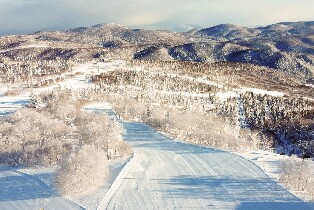 札幌國際滑雪場定山溪接駁巴士