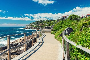 邦迪至庫吉海灘沿海徒步之旅 & 庫吉灣飯店單點午餐