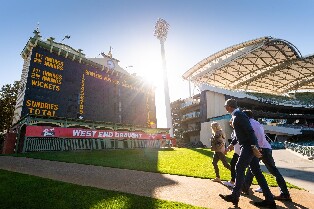 阿得雷德橢圓形球場導覽