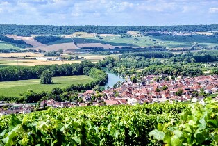 香檳品鑑與美食午餐一日遊