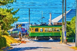 江之島+鎌倉高校+鶴崗八幡宮+橫濱山下公園一日遊(贈送江之電體驗)圖片
