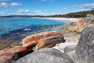 塔斯馬尼亞野外探險4日遊