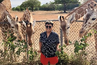 科隆島卡勞伊野生動物園與黑島之旅